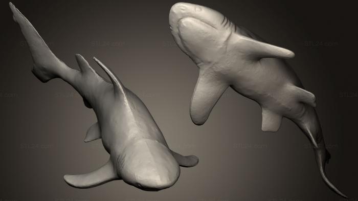 Статуэтки животных (Игрушка с черным кончиком акулы, STKJ_0490) 3D модель для ЧПУ станка